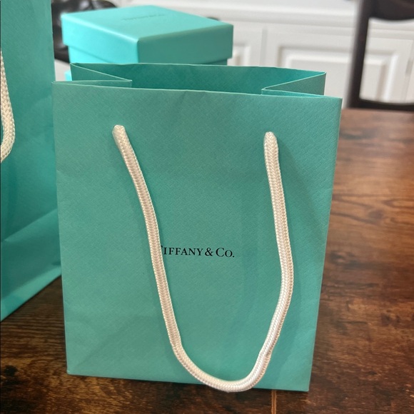 Tiffany & Co. Jewelry - 5 Tiffany & Co. Gift Bags with White Rope Handles -